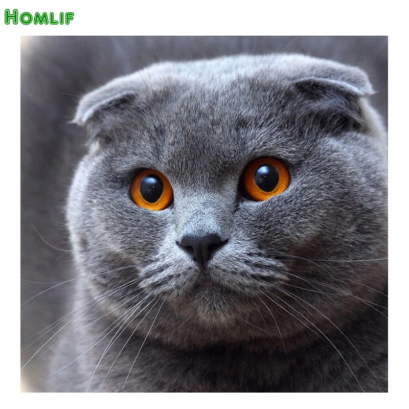 5d алмазная живопись сделай сам вышивка крестиком животное мультяшный Кот