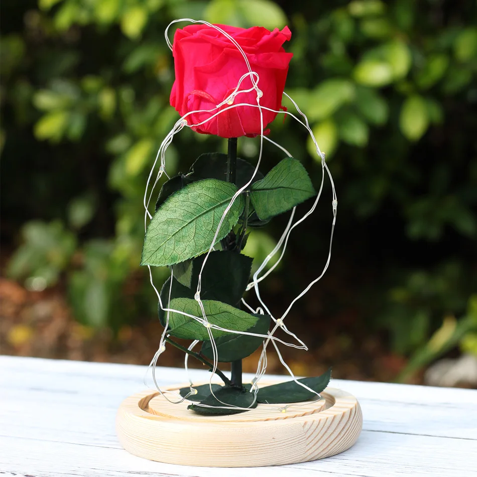 PreservedFreshFlower Красота и чудовище роза с куполом сохранились Роза Металлические Розы Зачарованный Роза ручной работы роза с светодиодный свет