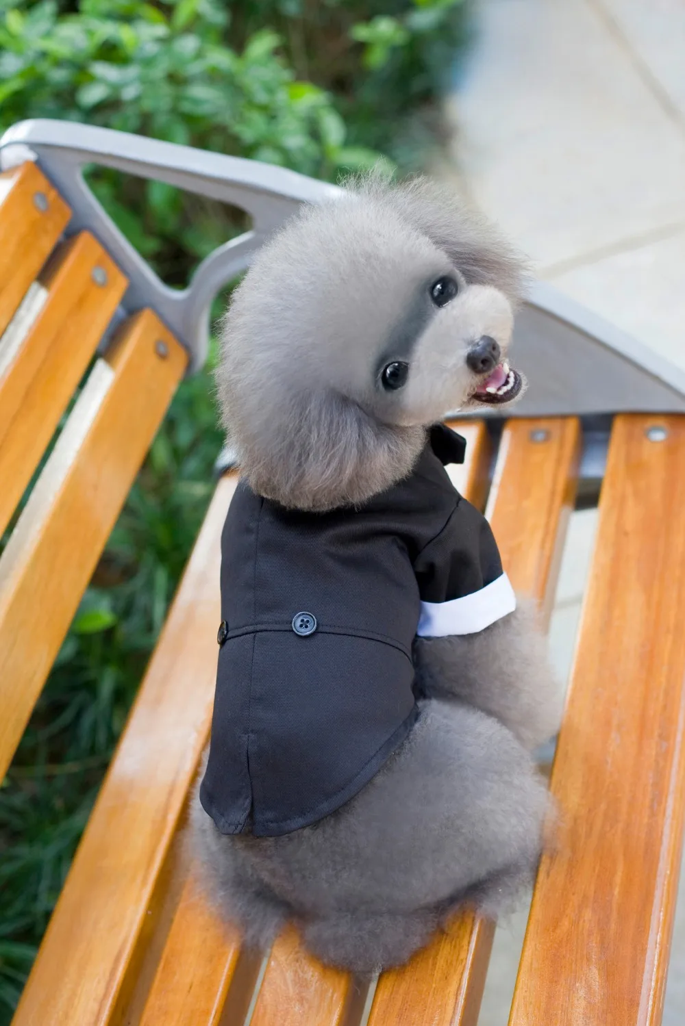 Black Dog Tuxedo Suit Puppy Wedding Clothes Doggie Costume Prince Cute Gentleman Bow Tie | Дом и сад
