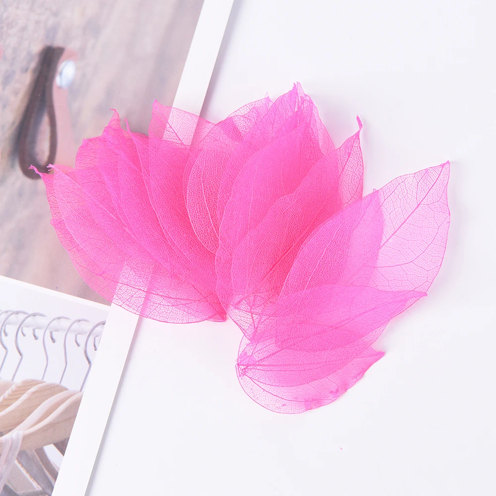 20 шт./лот натуральная Магнолия скелет листья карта альбом для скрапбукинга