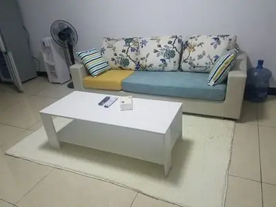 Коврик для дома гостиной 4 размера белый розовый синий черный 80 см х 120 см|area carpet|rugs