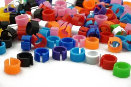 Зажим для цыплят курицы голубей птицы утка попугай кольцо 8 мм внутренний диаметр