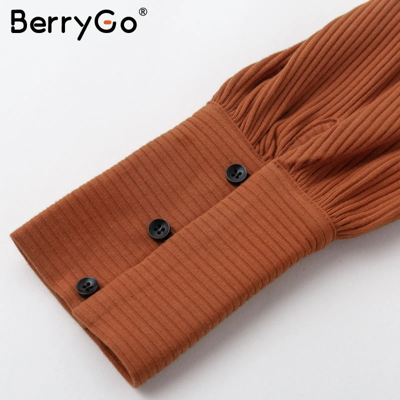 BerryGo Винтаж Кнопка bodycon Женщины платье с длинным рукавом Сексуальная молния