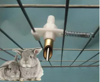 Диспенсер для воды с duckbill Тип диспенсер пружина кролик охладитель