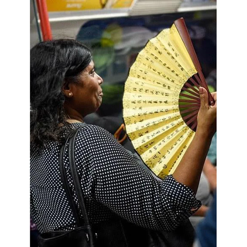 Летний складной веер из рисовой бумаги вентилятор пустой в китайском стиле для