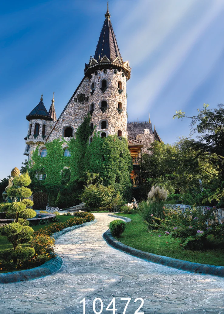 Фоны для фотосъемки с изображением замка свежие и натуральные фоны фотостудии