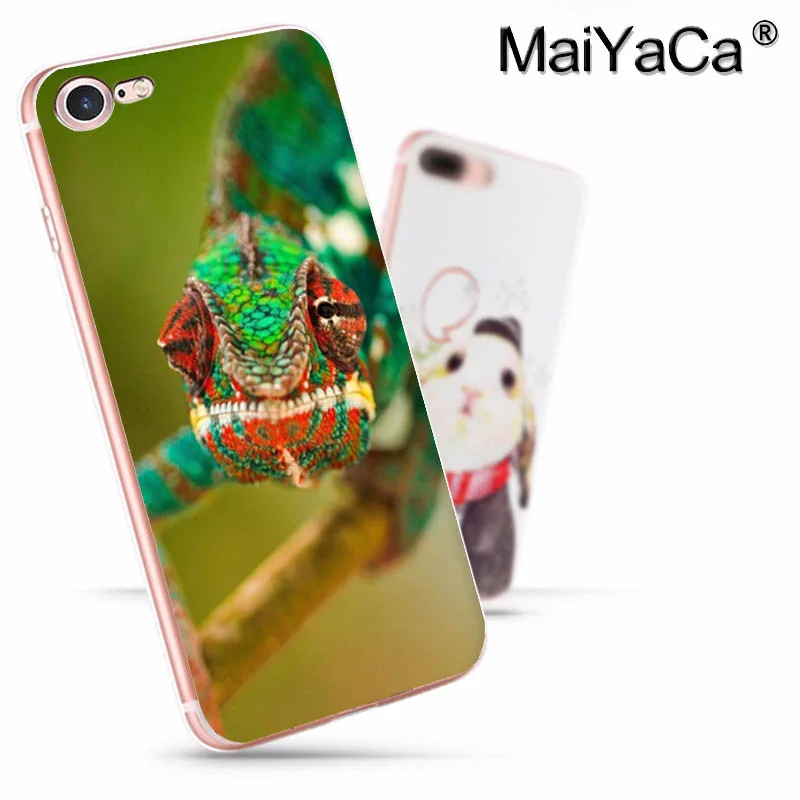 MaiYaCa животное геккон в зеленом лесу ящерица Модный чехол для телефона для iphone 11 pro 8 7 66S Plus X 10 5S SE XR XS MAX
