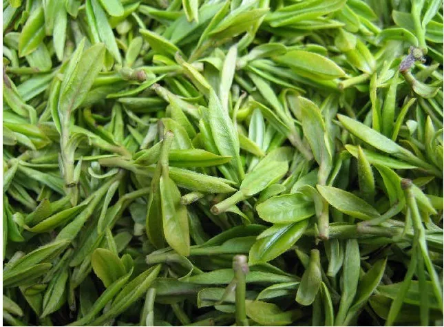 250g Early Spring Green Tea Organic Huangshan Maofeng tea 2013 Fresh green Yellow Mountain Fur Peak Fress Shipping | Продукты