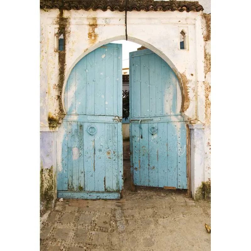 

Vinyl Photography Backdrops Retro Old Light Blue Door photo background Children Photography Studios Backdrops fotografia