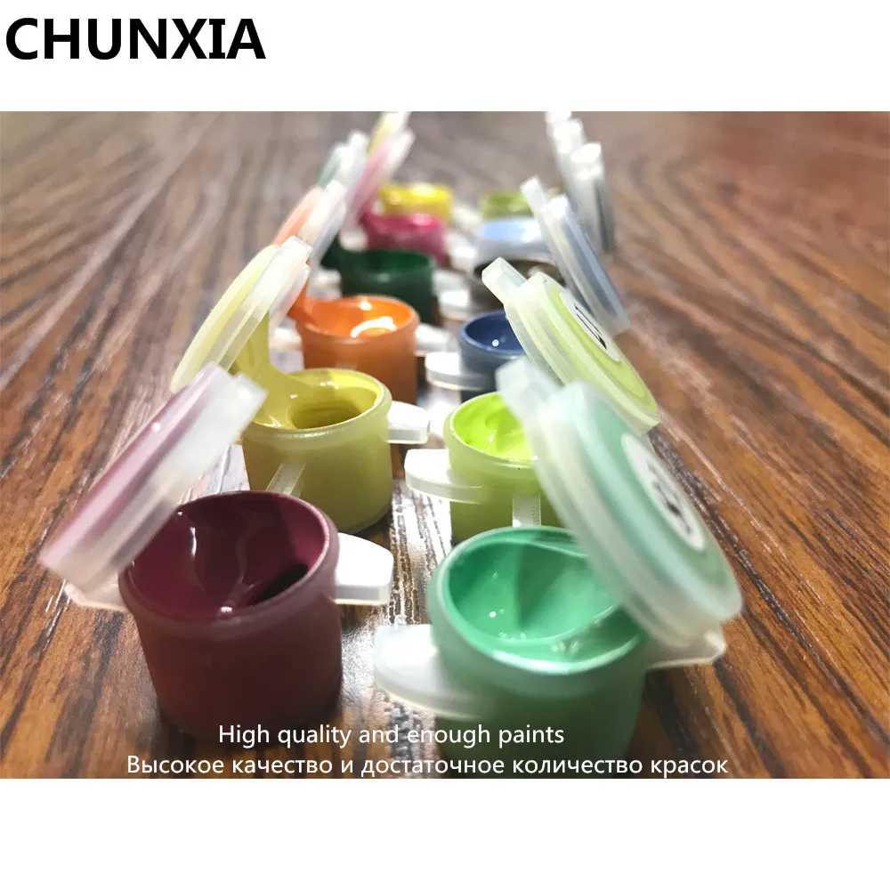 CHUNXIA PBN DIY Краска для раскрашивания по номерам масляная краска в рамке фигура