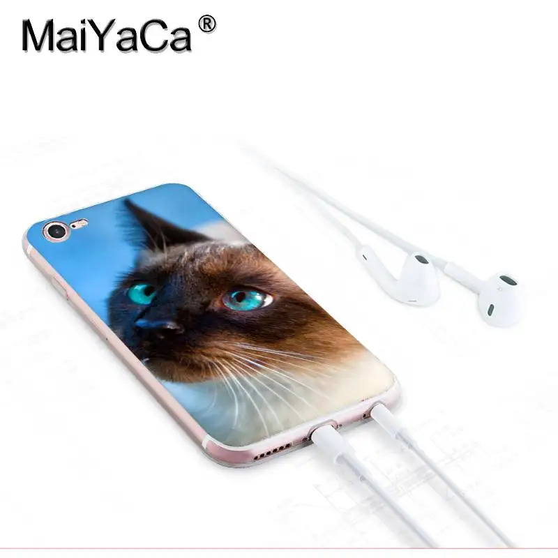 MaiYaCa для iphone 7 6 X Чехол для домашних животных сиамский Кот Прозрачный чехол для iphone 8 7 6 6S Plus X 10 5 5S SE 5C XS XR мобильный чехол - Цвет: 8