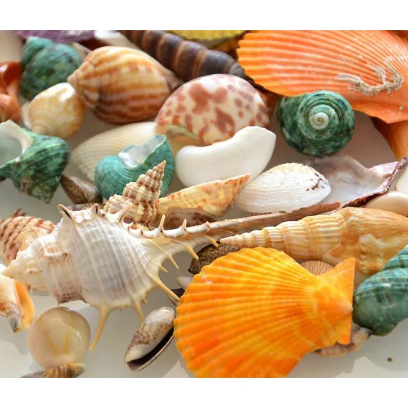 

100g Sea Beach Shells Mixed Fish Tank Aquarium Landscape Decoration Durable Craft HFing