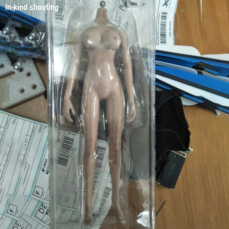1/6 весы PLMB2014 S06 PHICEN супер гибкие женские большой бюст с нержавеющей скелетные