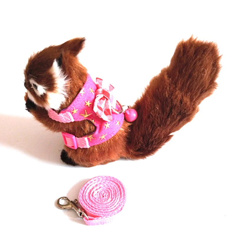 В полоску С бантом и Шиншилла Хомяк мелких животных белка жгут Жилет c героями