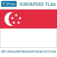 90150cm 6090cm 4060cm flying flag 3x5ft hanging flag 1521cm hand flag singapore national flag