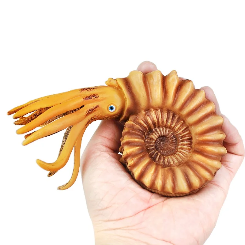 Настоящая модель наутилуса игрушки имитация морской жизни животного