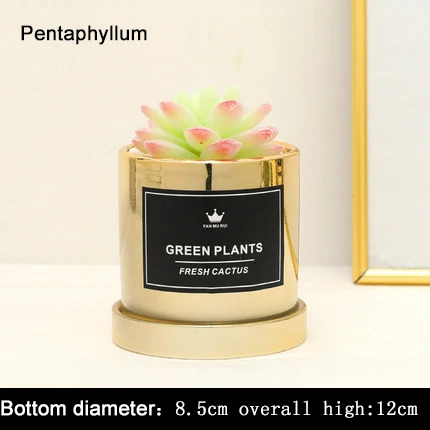 Pentaphyllum gold Xuanxiaotong большой 3D кактус искусственный; в горшке зеленые растения бонсай для украшение для домашнего балкона Plante Artificielle - Цвет: Pentaphyllum gold