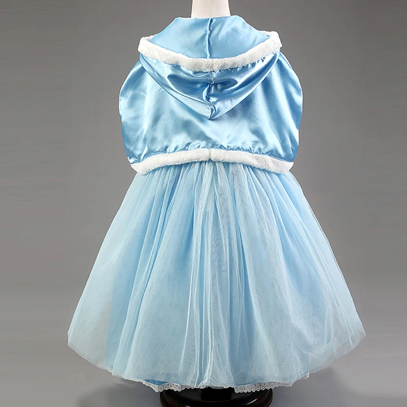 2015 популярное летнее платье-пачка принцессы платье Эльзы и Анны костюм на