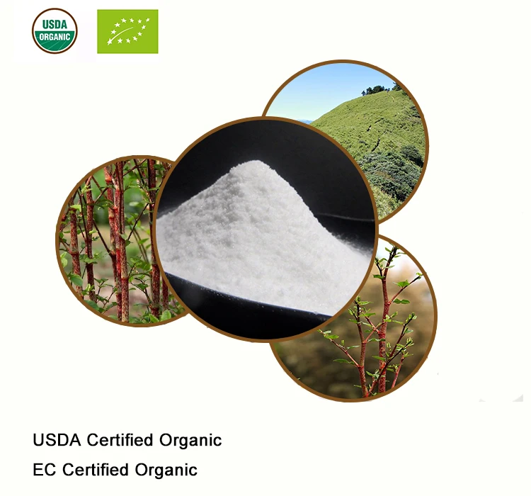 USDA и EC Сертифицированные Органические ресвератрол 98% Cuspidatum extritive