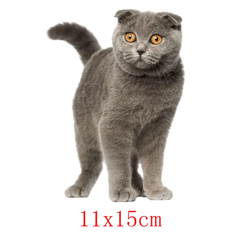 TRL535 Три Ratels TRL535#11x15 см скотиш Фолд cat Прокат забавные наклейки и надписи - Название цвета: TRL535