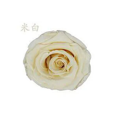 beige white YO CHO 8 шт. сохраненные вечные розы головы в коробке Высокое качество сухой Натуральный Свежий цветок навсегда Роза год подарок на день Святого Валентина 5 см - Цвет: beige white