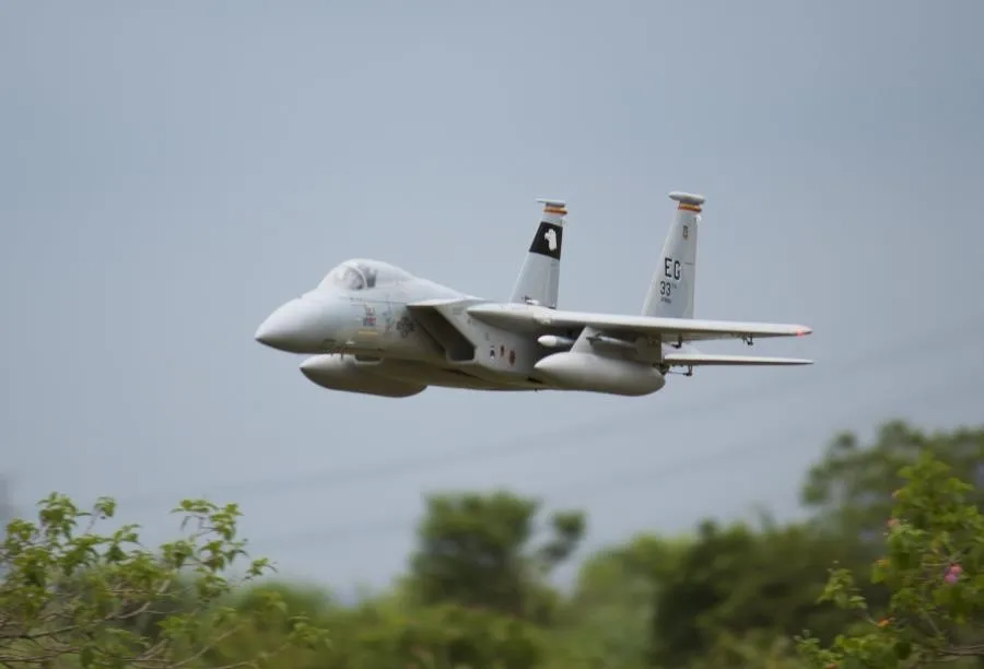 Freewing F-15 Орел 90 мм EDF реактивный самолет PNP EPO модель самолета F15