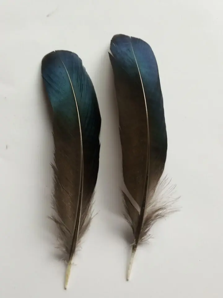 Новинка! Высококачественное перо фазана аксессуары ручной работы для творчества