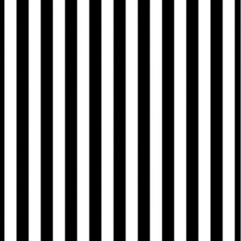 

TR 8x8FT Black and White Stripes Backdrop Wall Custom Vinyl Photography Background Studio Photo Prop photographic Backdrop Cloth
