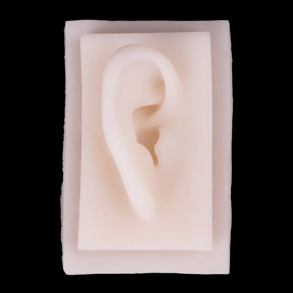 Человека мягкий силиконовый правое ухо модель жизни Размеры Акупунктура Учебная