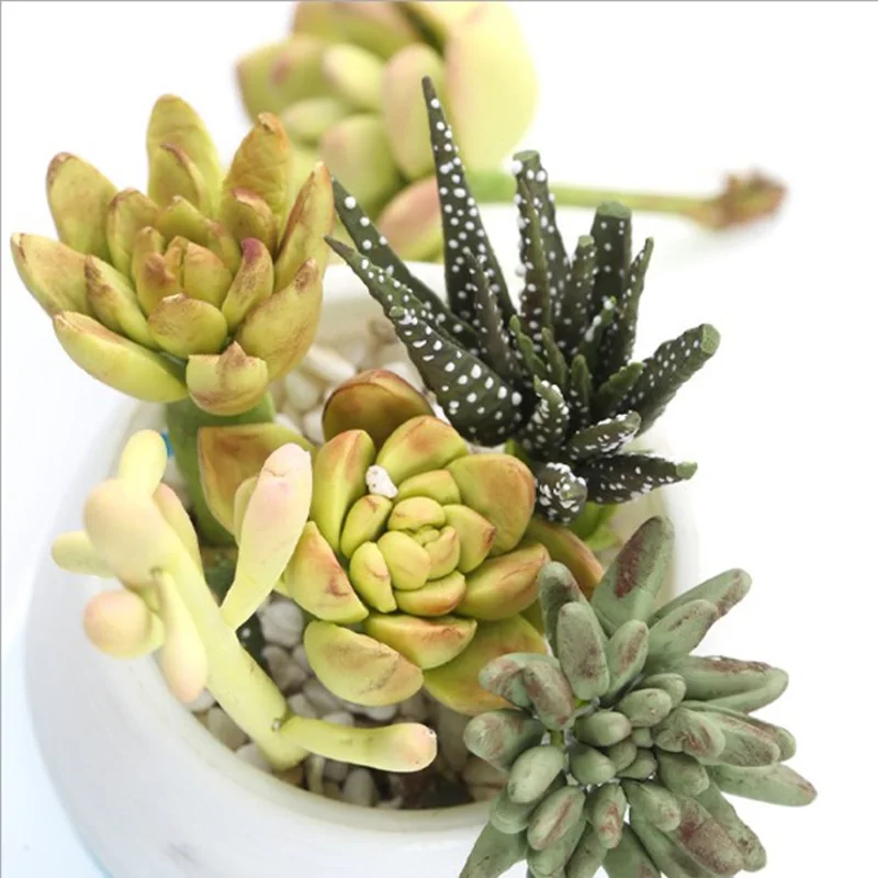 Суккулентные растения помадные формы для торта шоколадные кухни инструмент