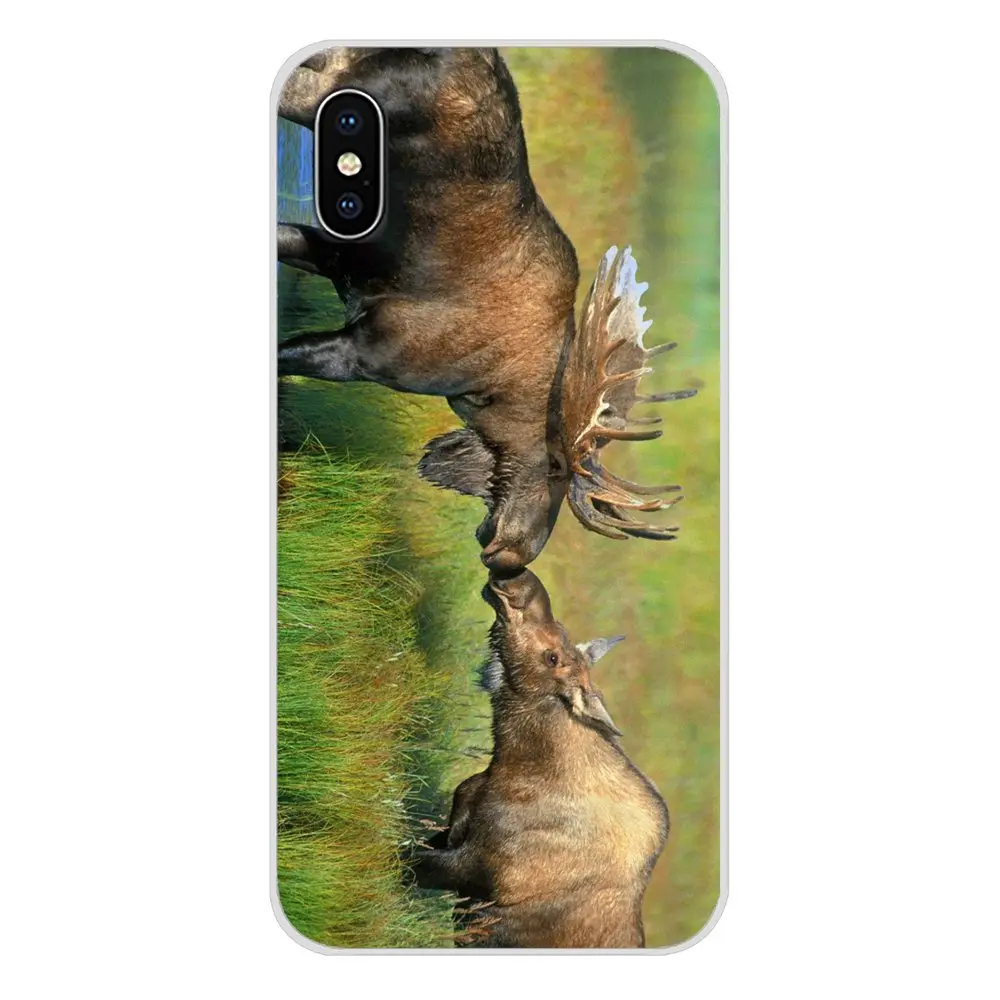 Животное Аляска Булл Moose аксессуары чехол для телефона Чехлы Apple iPhone X XR XS MAX 4 4S 5 5S 5C