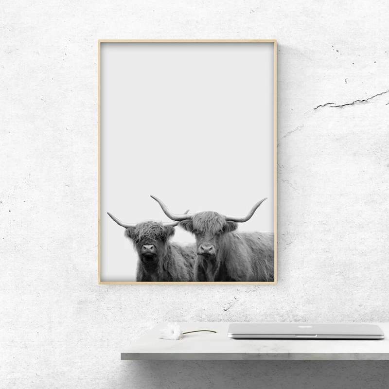Современная животная фотография холст картина Highland крупный рогатого скота