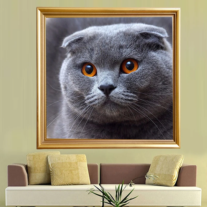 GLymg Diy вышивка рукоделие Алмазная Картина милый серый Кот полный квадрат животное