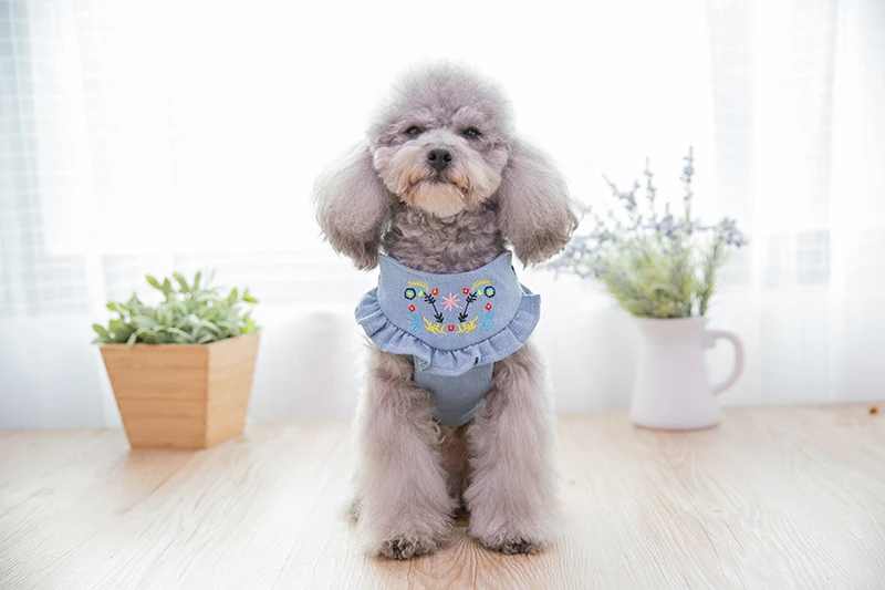 Embroidery Jean Dog Harness Vest Pet Puppy Vest Leash Walking Traction Rope Denim Adjustable Chest Strap Small Dog Accessories