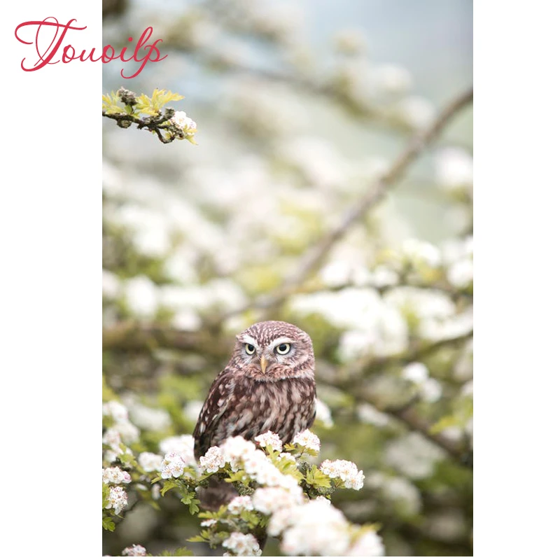 DIY картина вышитая бисером алмаз вышивальные пластиковые изделия полностью