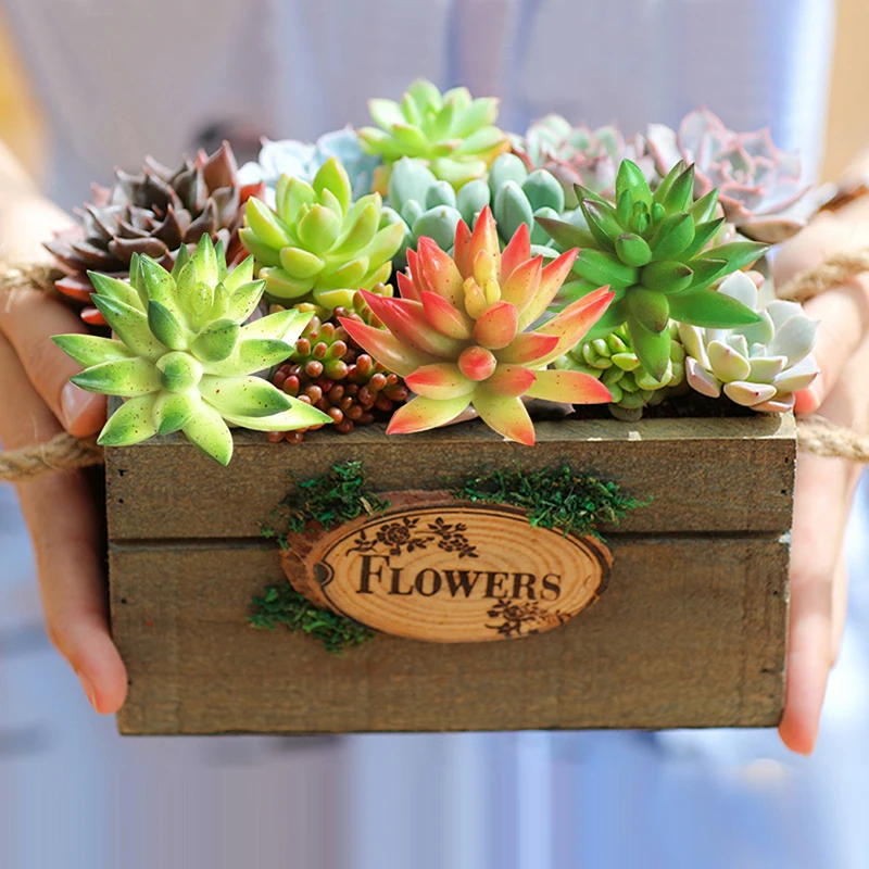 1 шт. Мини Искусственные влагозапасающие растения пейзаж с лотосами декоративный