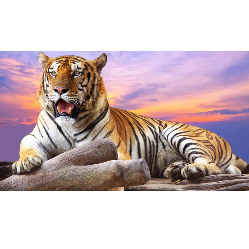 3D DIY Сибирский тигр 5D алмазная картина квадратная Алмазная вышивка Dmc Вышивка