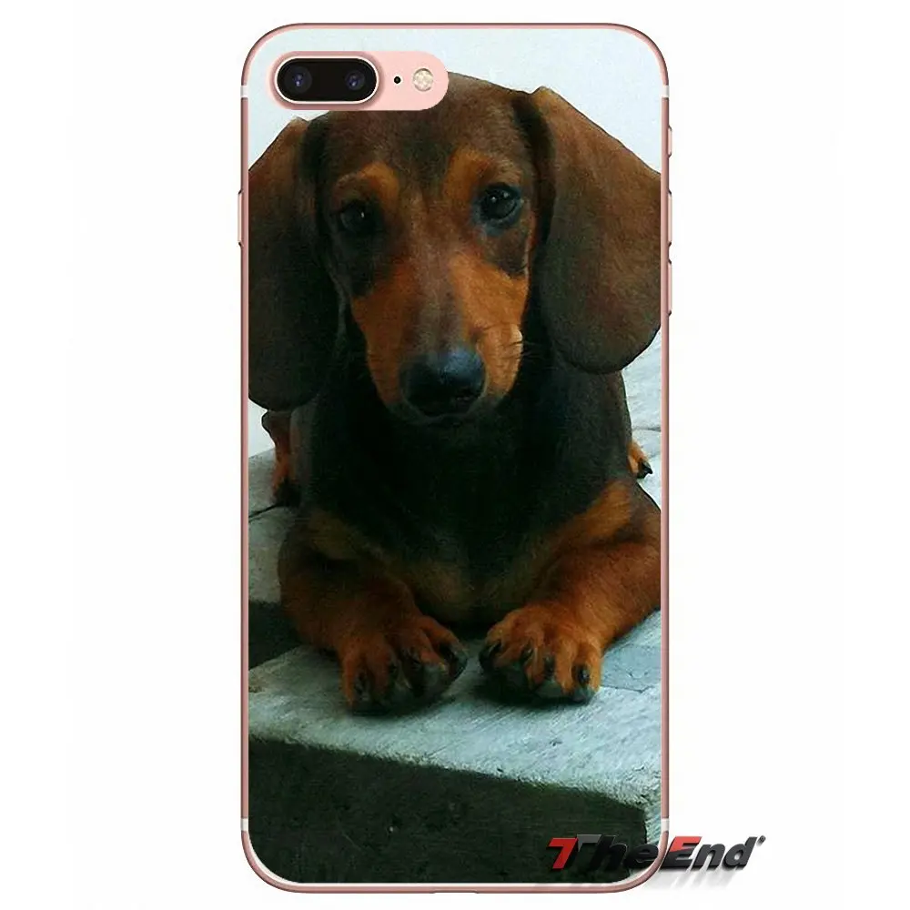 Силиконовый чехол для Samsung Galaxy S3 S4 S5 MINI S6 S7 edge S8 Plus Note 2 3 4 5 Grand Core Prime Dachshund Teckel Dackel Dog |