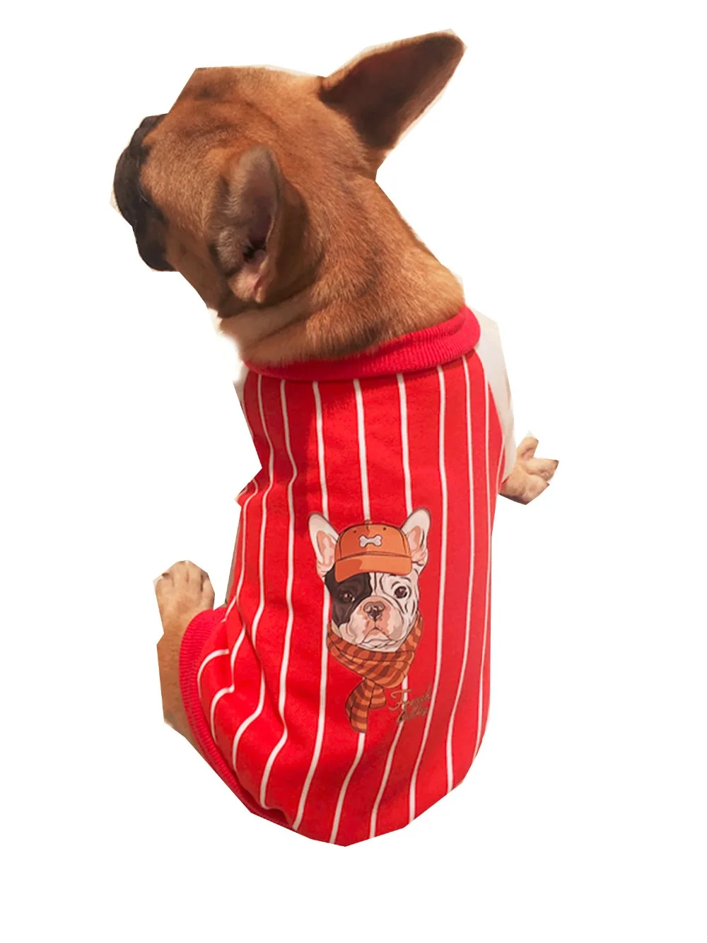 Новое поступление пальто в полоску с бульдогом хлопковое двумя ногами для