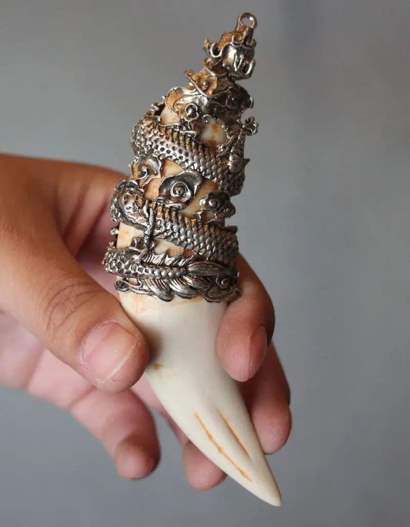 Китайский античный искусственный каучук зуб Дикая свинья серебряный дракон
