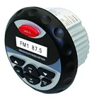 Морской мотоцикл Водонепроницаемый Bluetooth Радио стерео Лодка аудио AM FM приемник USB зарядное устройство mp3-плеер AUX RCA для автомобиля спа ATV UTV