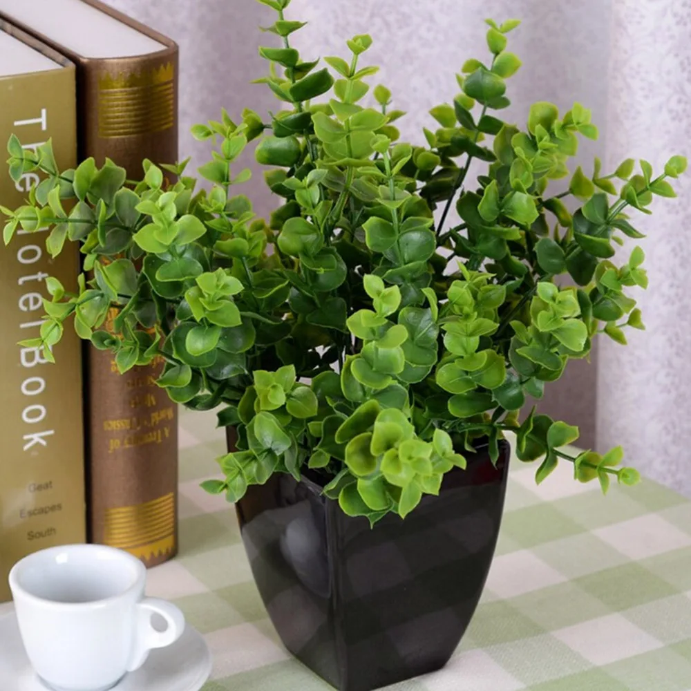 7 отделений листья травы небольшой эвкалипта цветы денежное моделирование