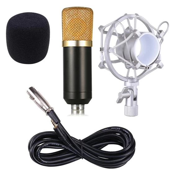 Gold Without Box BM-700 профессиональный конденсаторный микрофон 3.5 мм проводной BM 700 Studio микрофон с металлическим подвесом для компьютера Запись видео для компьютера караоке записи для студии радиовещания закадрового озвучивания - Цвет: Gold Without Box