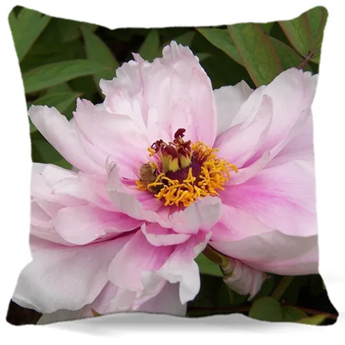 Новинка 2017 весенний квадратный чехол для подушки с рисунком пиона белого