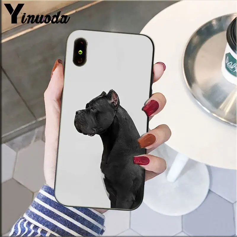 A14 Yinuoda Pit Bull прекрасная комнатная собачка Pitbull TPU Мягкий силиконовый чехол для телефона iPhone 5 5Sx 6 7plus 8 8Plus X XS MAX XR - Цвет: A14