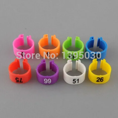 Курочка-Несушка голубь ногу птицы птица цыплят утка попугай клип Кольца группа |