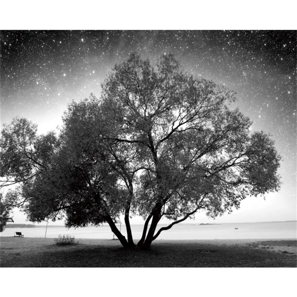 

Laeacco Canvas Calligraphy Painting Black and White Tree Posters and Prints Starry Sky Wall Art Pictures for Living Room Decor