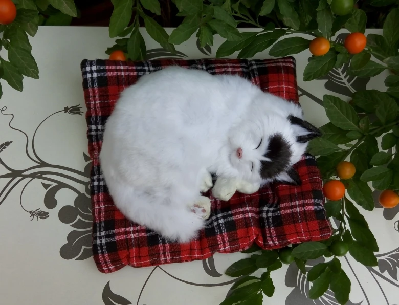 

Модель белого спящего кота с черной головкой, примерно 19x15 см, полиэтиленовые и меховые фигурки ручной работы, украшение для дома, игрушка в ...
