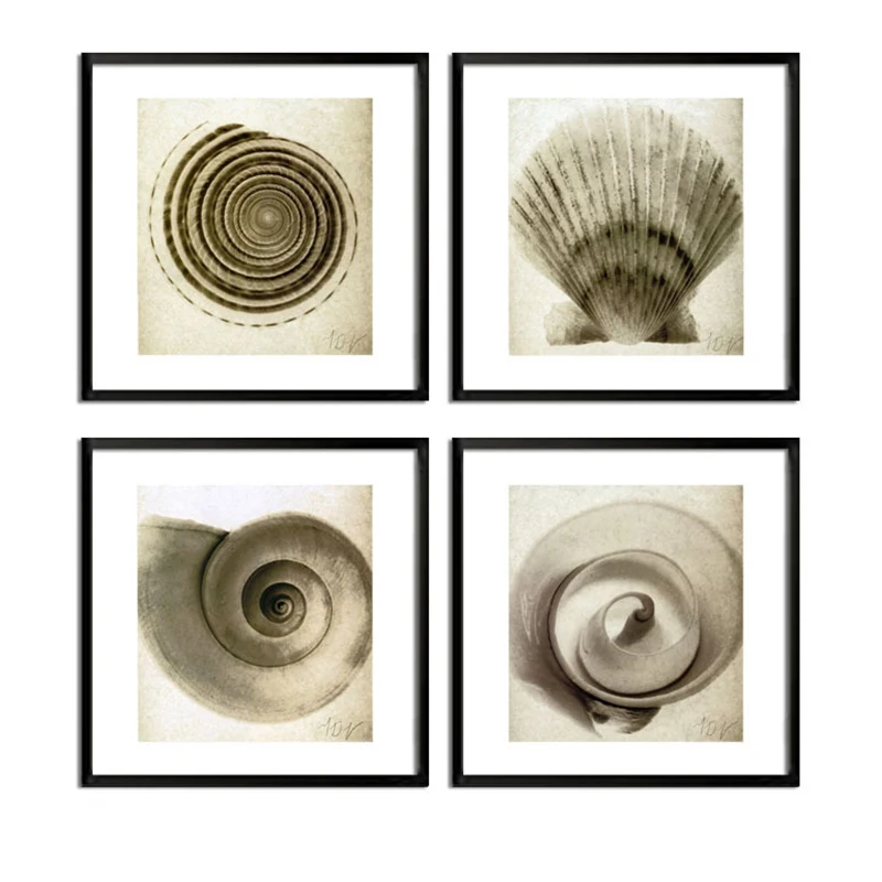 Modern Conch Shell Beach Still Life Picture Canvas Painting Art Wall Design Home Decor Prints | Дом и сад