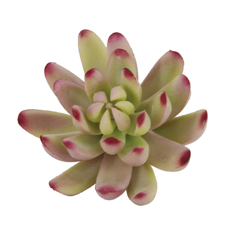 Искусственный суккулент настоящий искусственный суккулент|cactus decoration|artificial